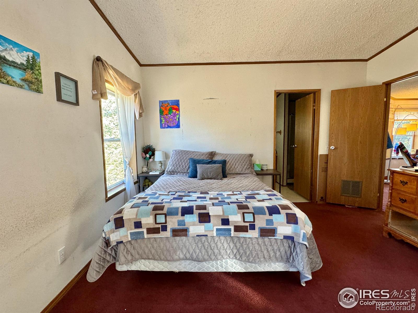 MLS Image #23 for 4393  green mountain drive,livermore, Colorado