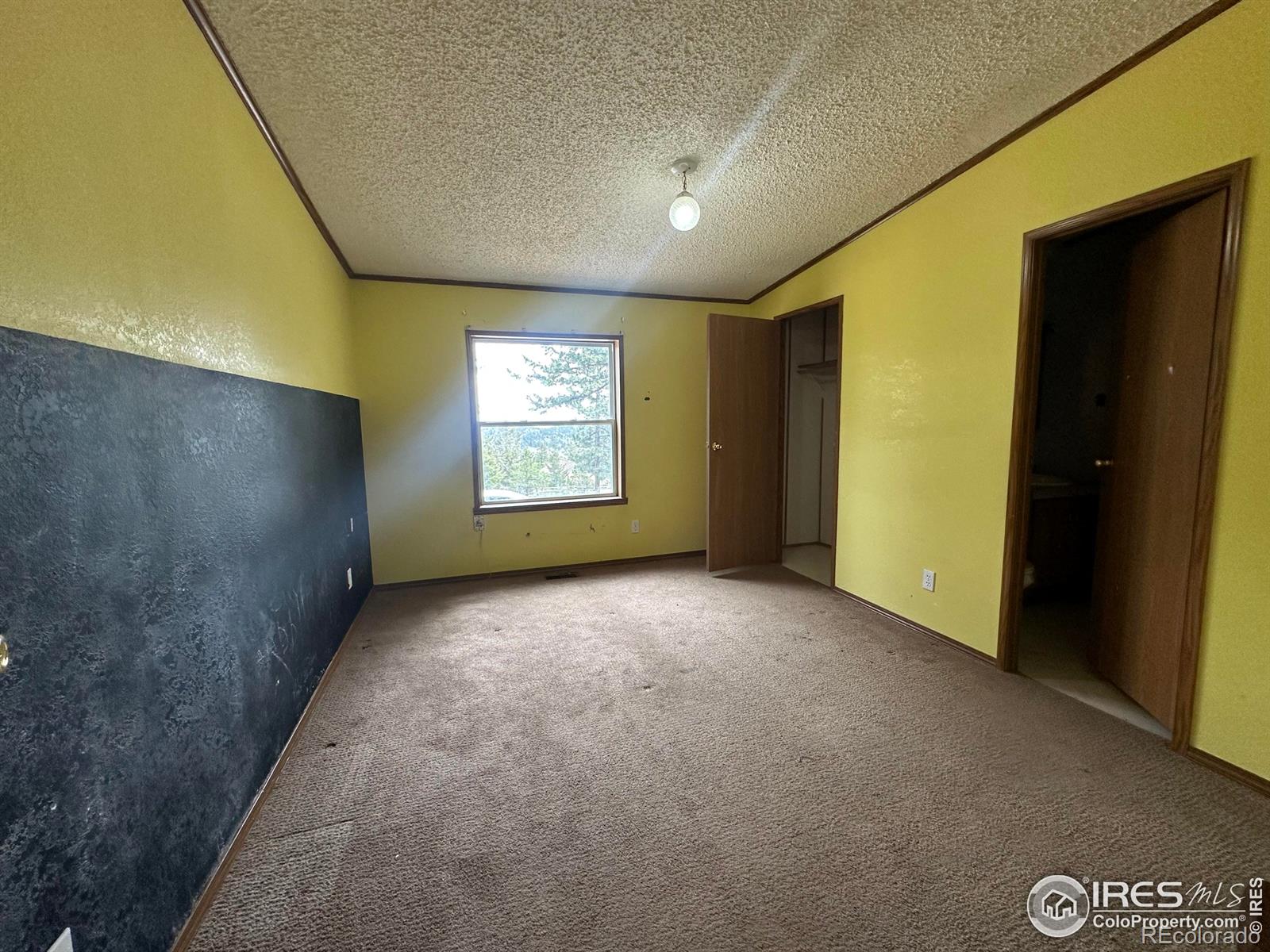 MLS Image #26 for 4393  green mountain drive,livermore, Colorado