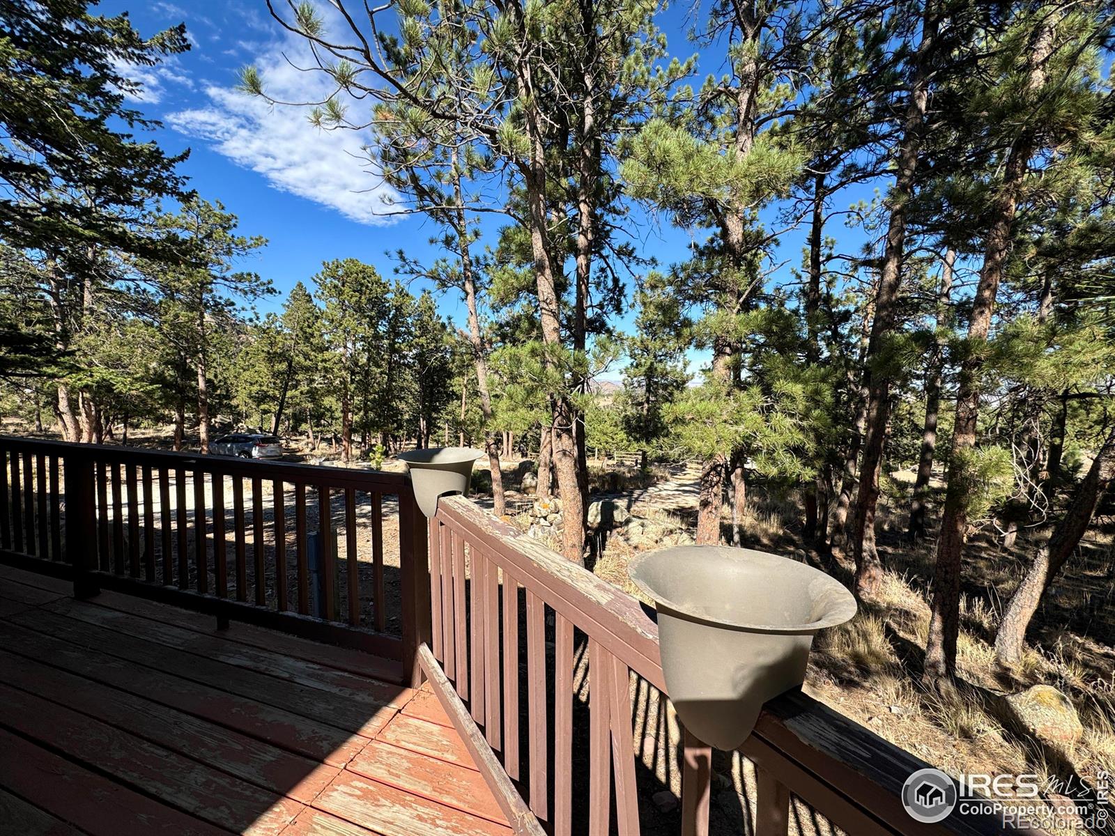 MLS Image #4 for 4393  green mountain drive,livermore, Colorado