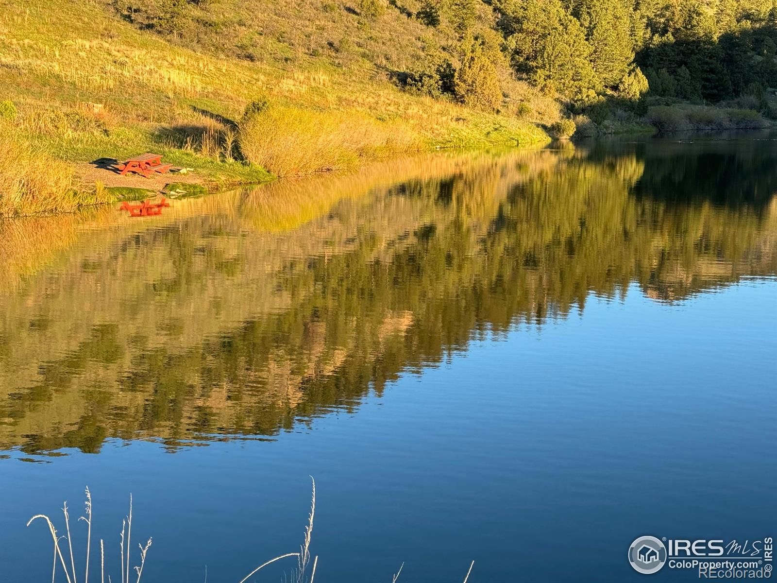 MLS Image #9 for 4393  green mountain drive,livermore, Colorado