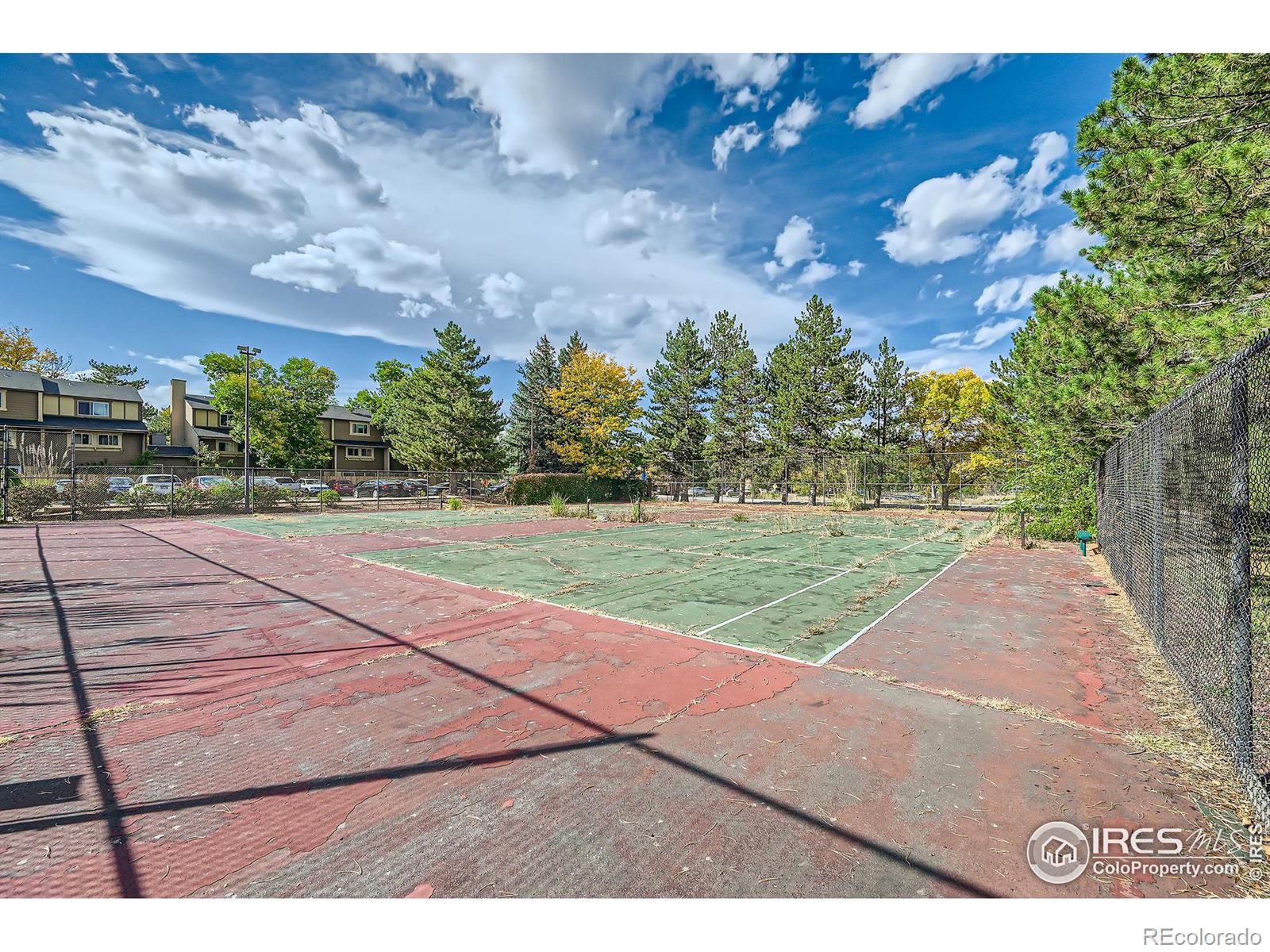 MLS Image #8 for 3393  madison avenue,boulder, Colorado