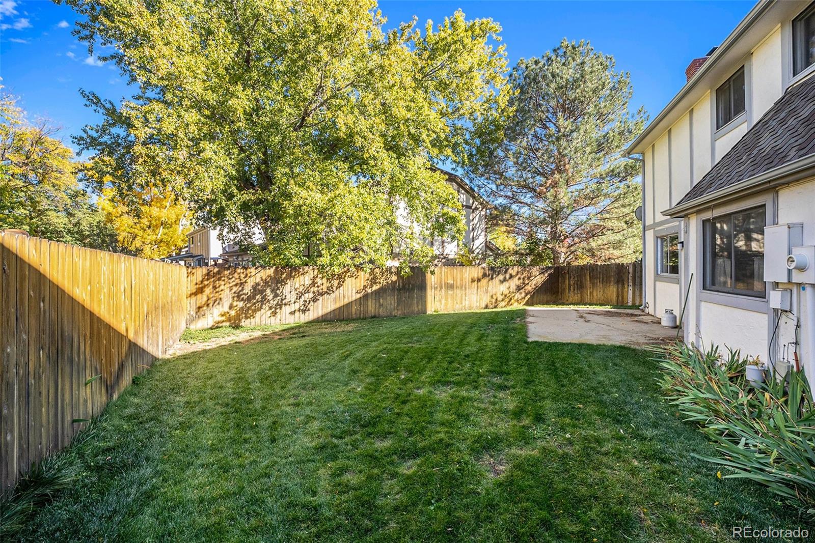 MLS Image #6 for 2108 s hoyt way,lakewood, Colorado