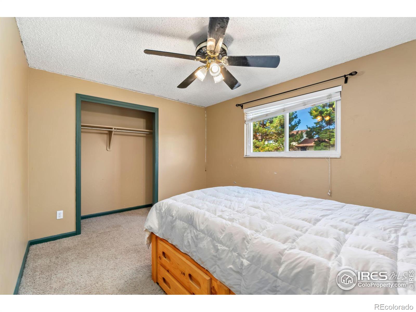 MLS Image #6 for 13187  mercury drive,lone tree, Colorado