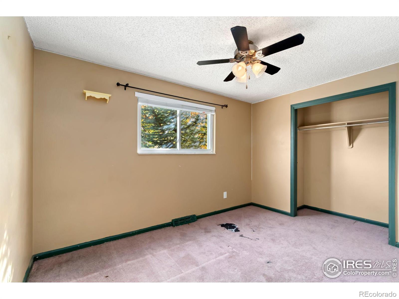 MLS Image #7 for 13187  mercury drive,lone tree, Colorado