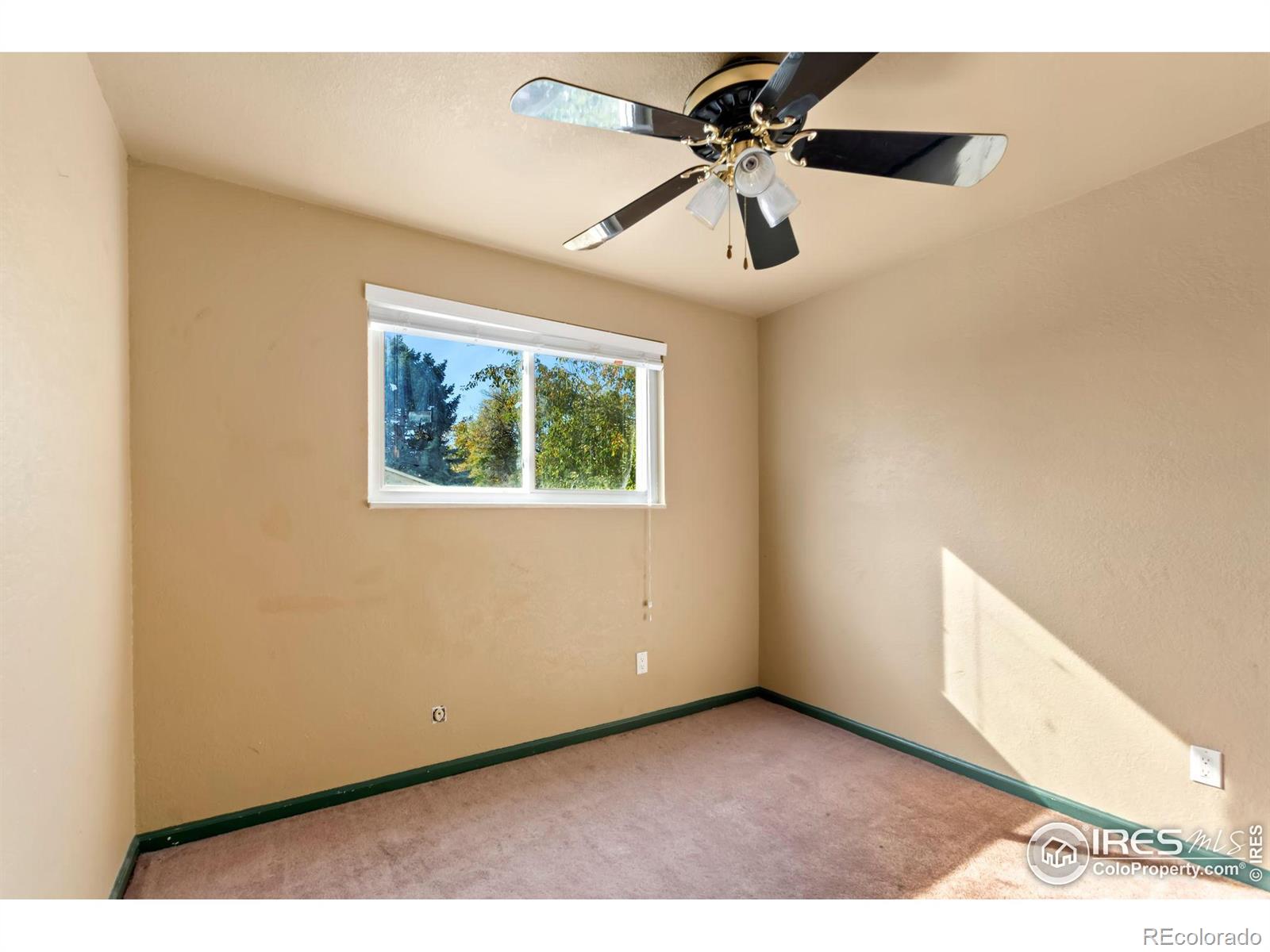 MLS Image #8 for 13187  mercury drive,lone tree, Colorado