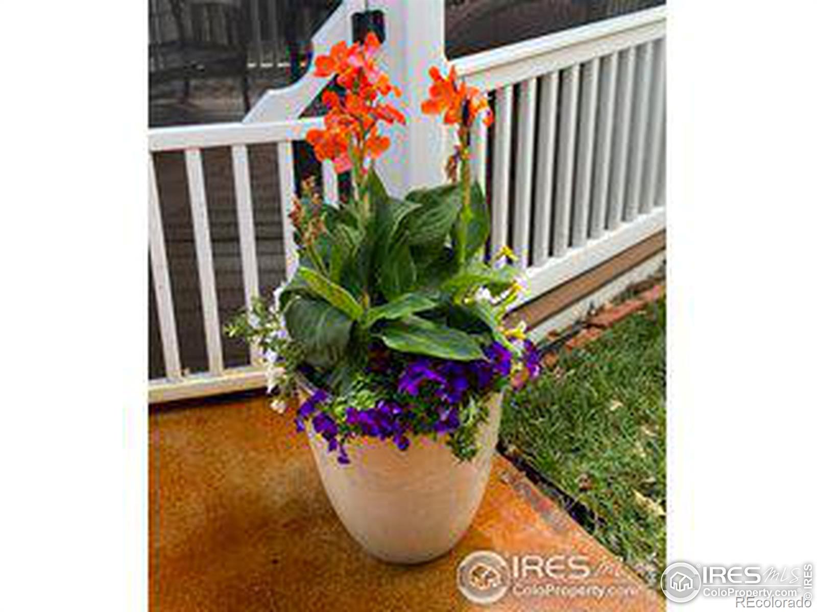 MLS Image #29 for 632  del norte place,fort collins, Colorado
