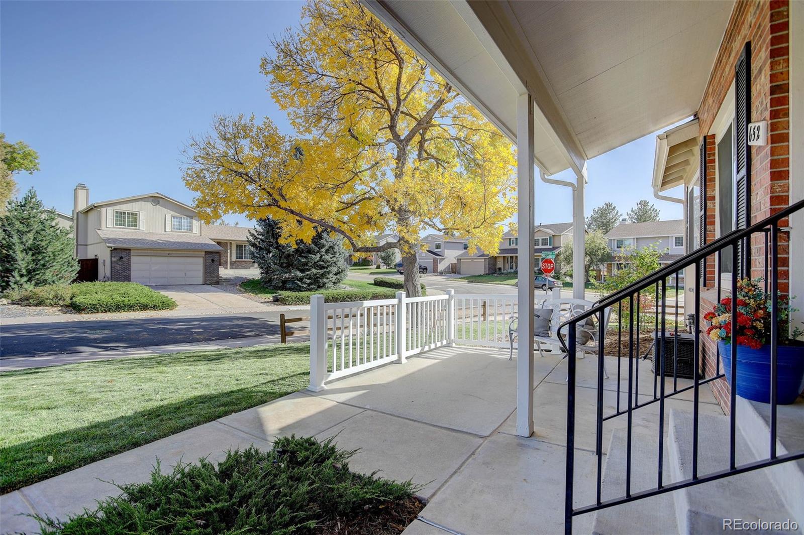 MLS Image #4 for 652  mountain chickadee road,highlands ranch, Colorado