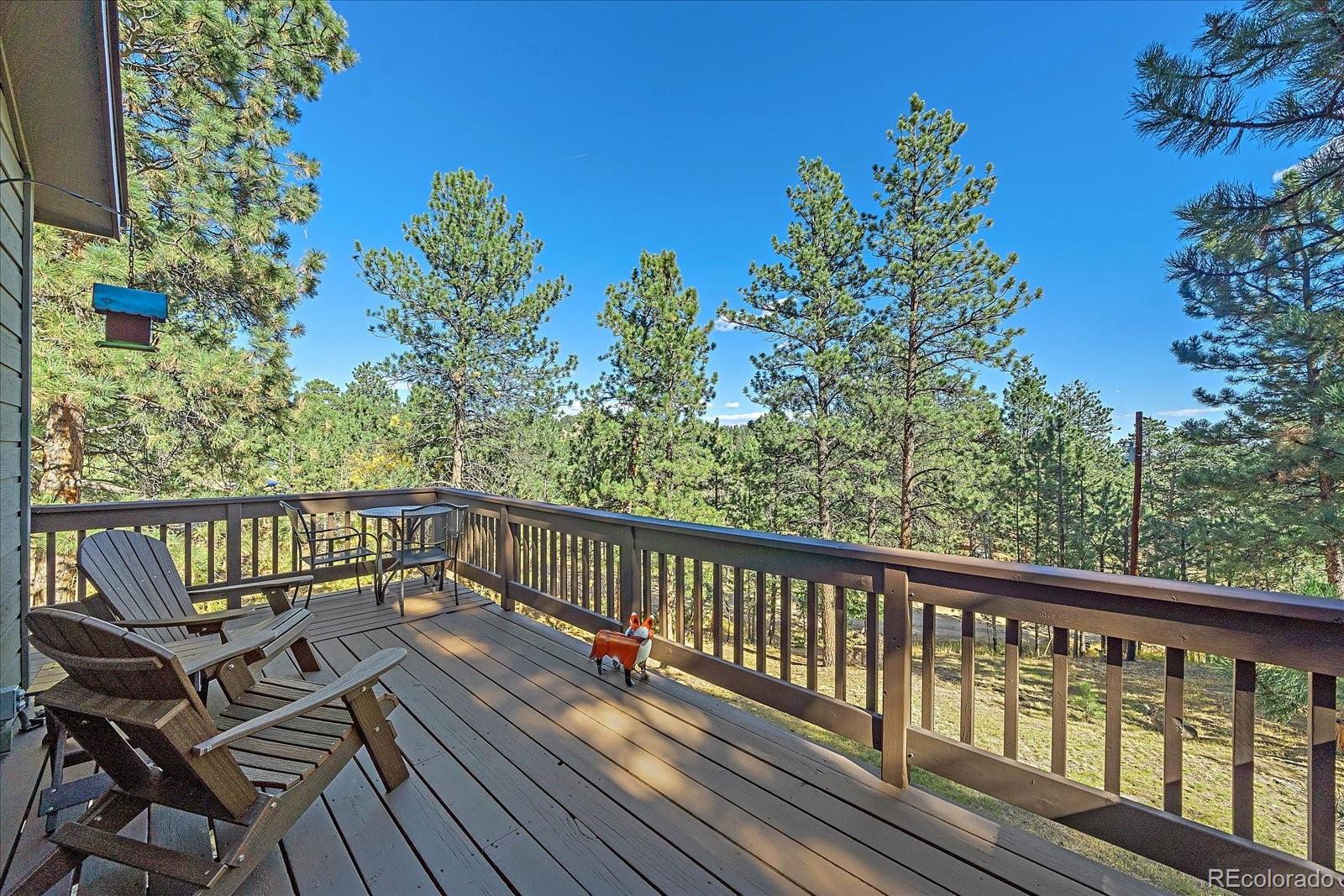 MLS Image #22 for 475  chickadee lane,bailey, Colorado