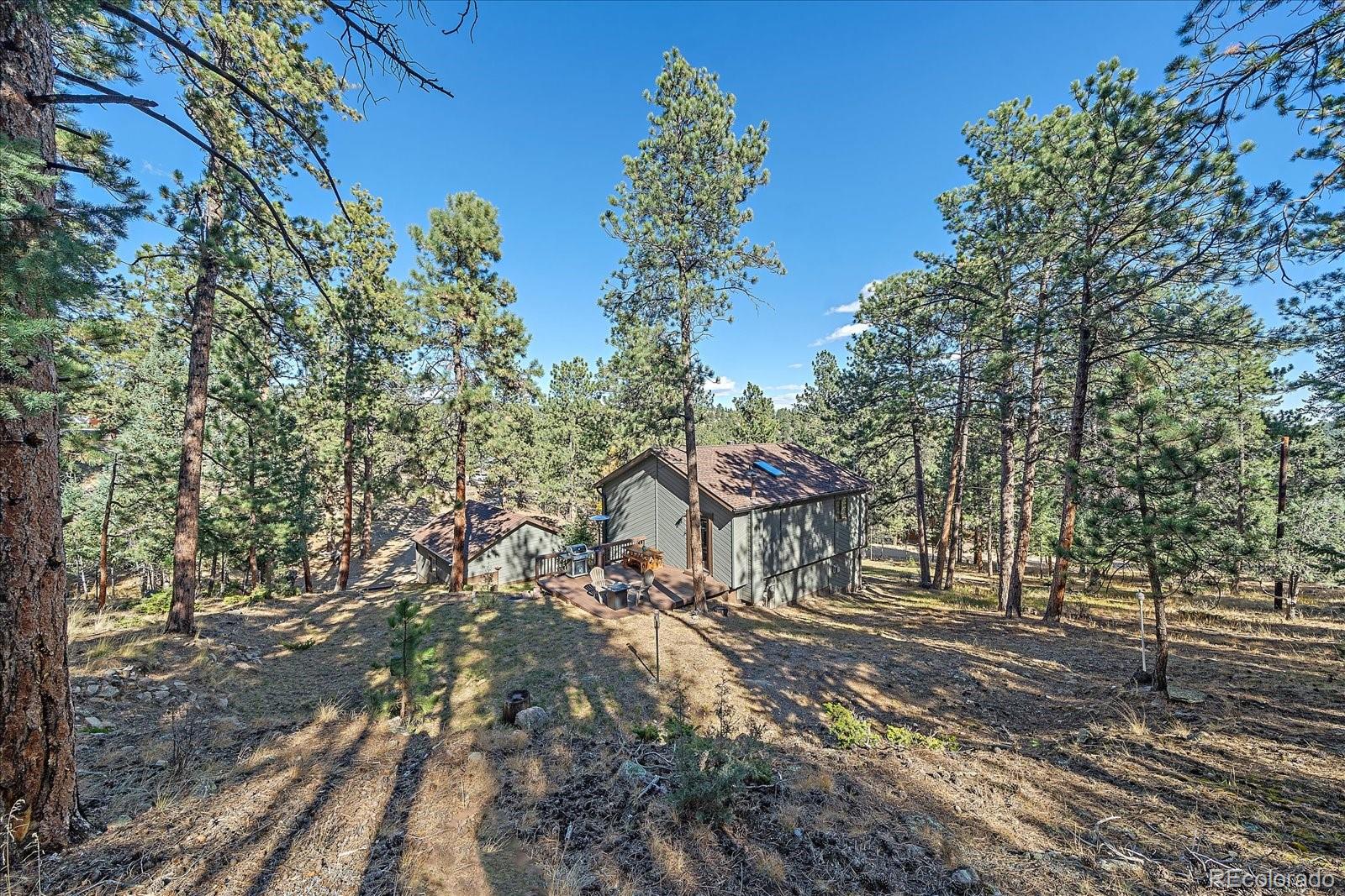 MLS Image #24 for 475  chickadee lane,bailey, Colorado