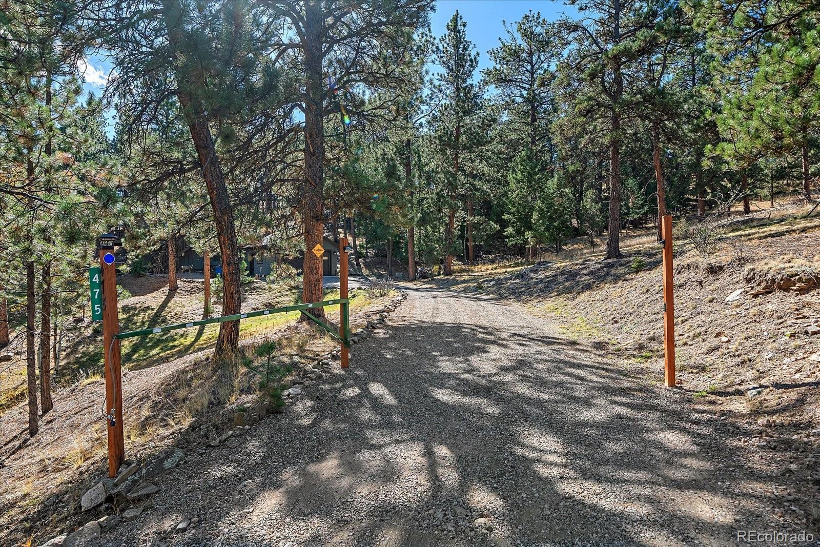 MLS Image #5 for 475  chickadee lane,bailey, Colorado