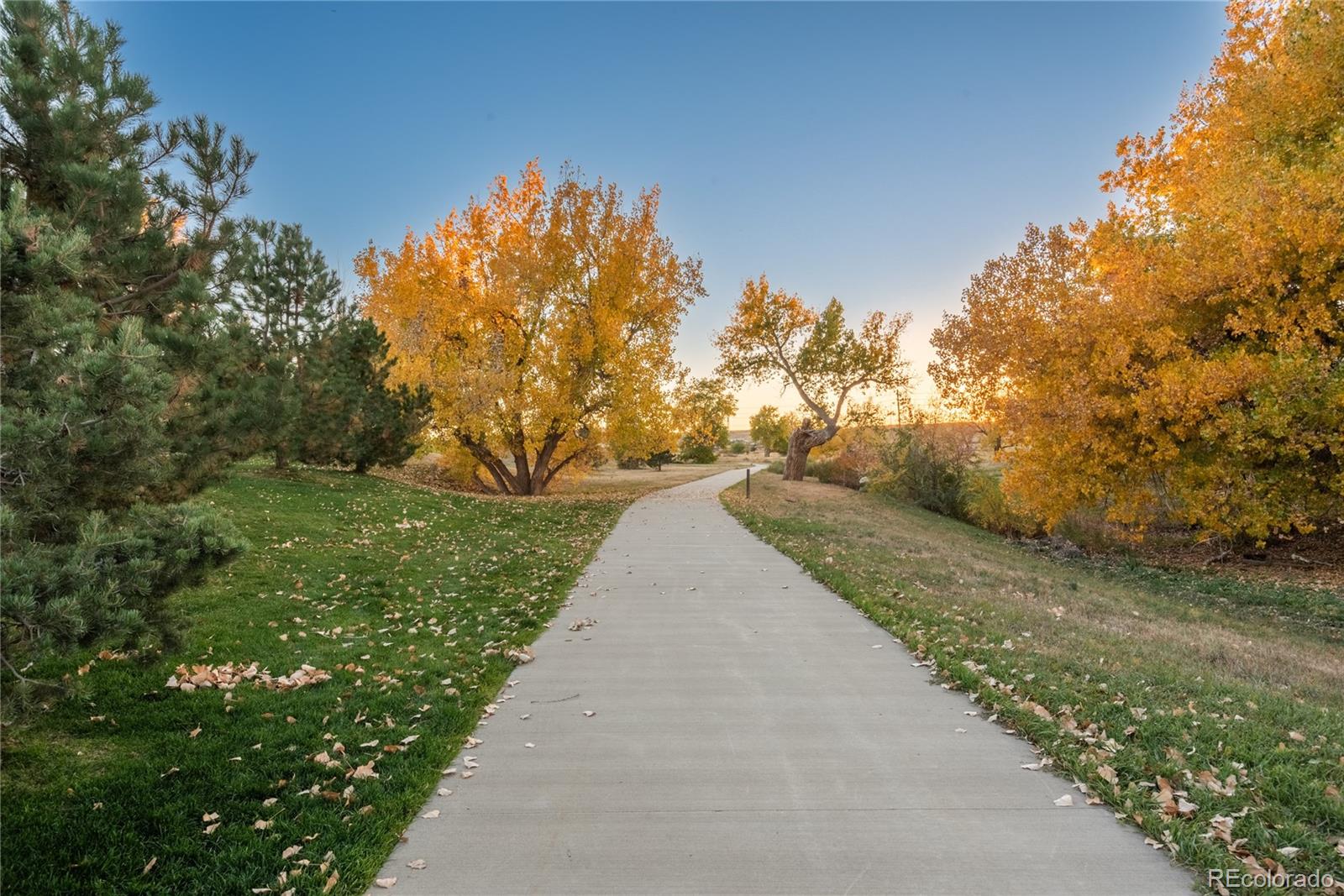 MLS Image #39 for 10285  kenneth drive,parker, Colorado