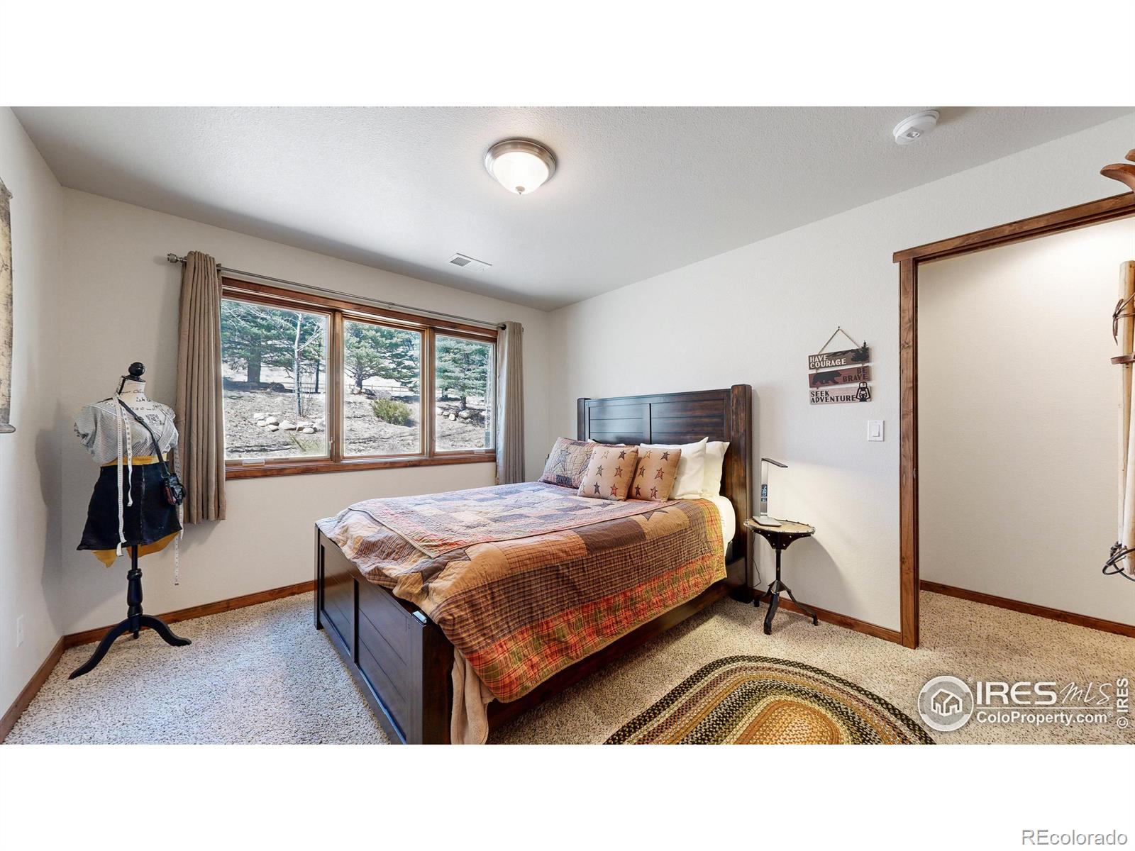 MLS Image #18 for 608  park river place,estes park, Colorado