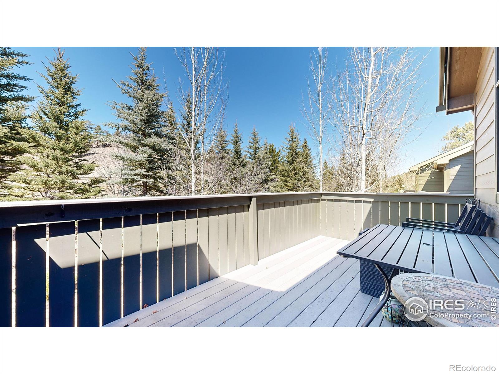 MLS Image #20 for 608  park river place,estes park, Colorado