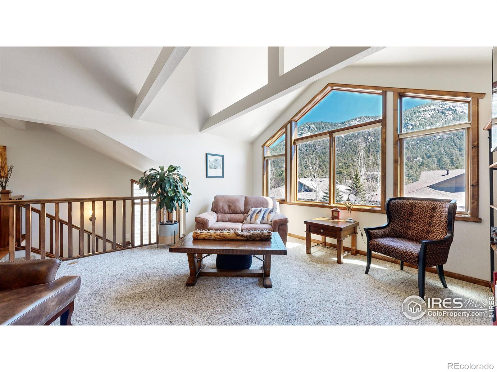 MLS Image #3 for 608  park river place,estes park, Colorado