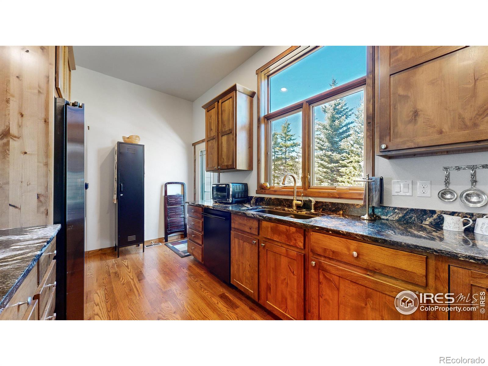 MLS Image #4 for 608  park river place,estes park, Colorado