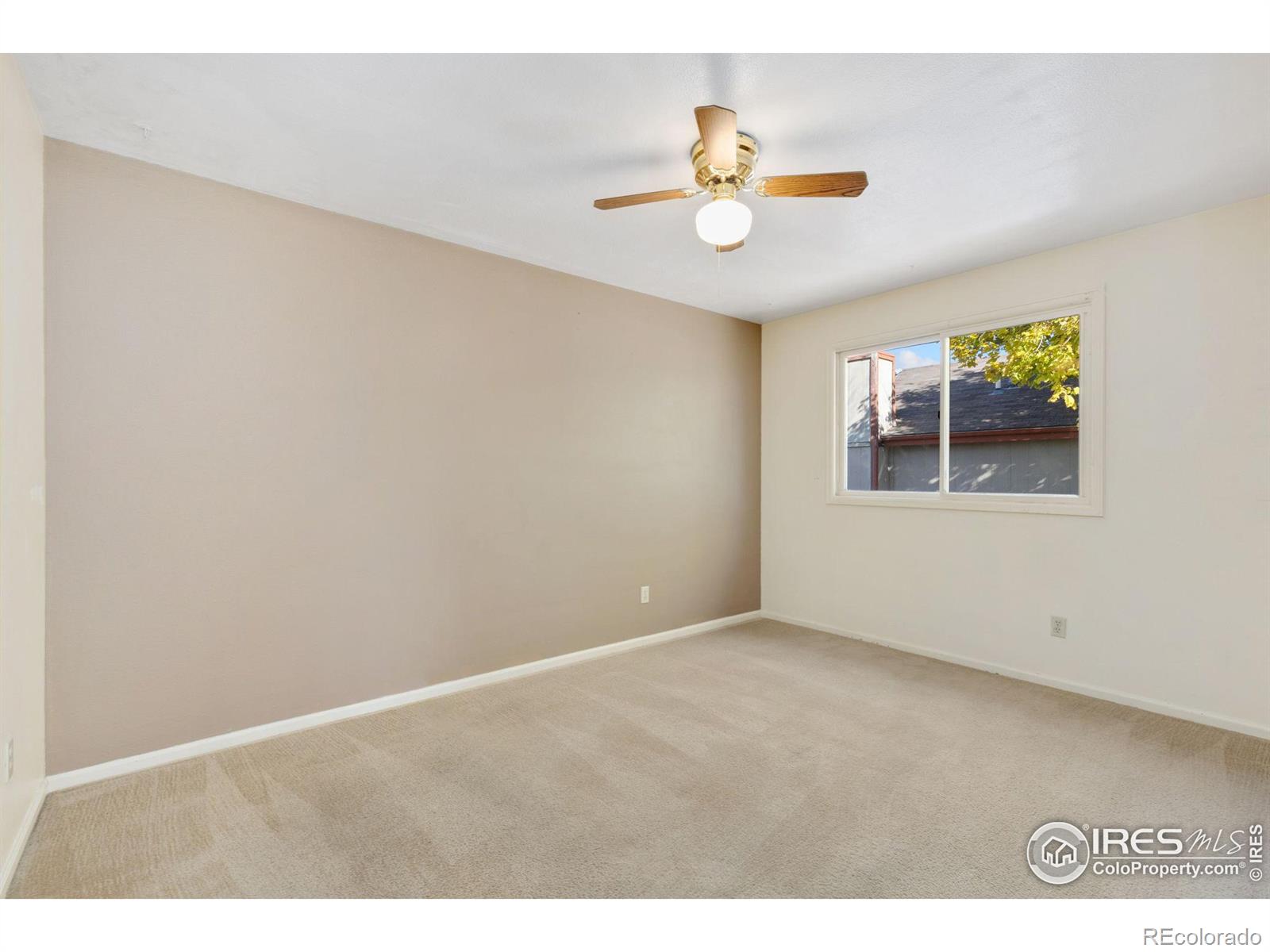 MLS Image #14 for 1613  flemming drive,longmont, Colorado