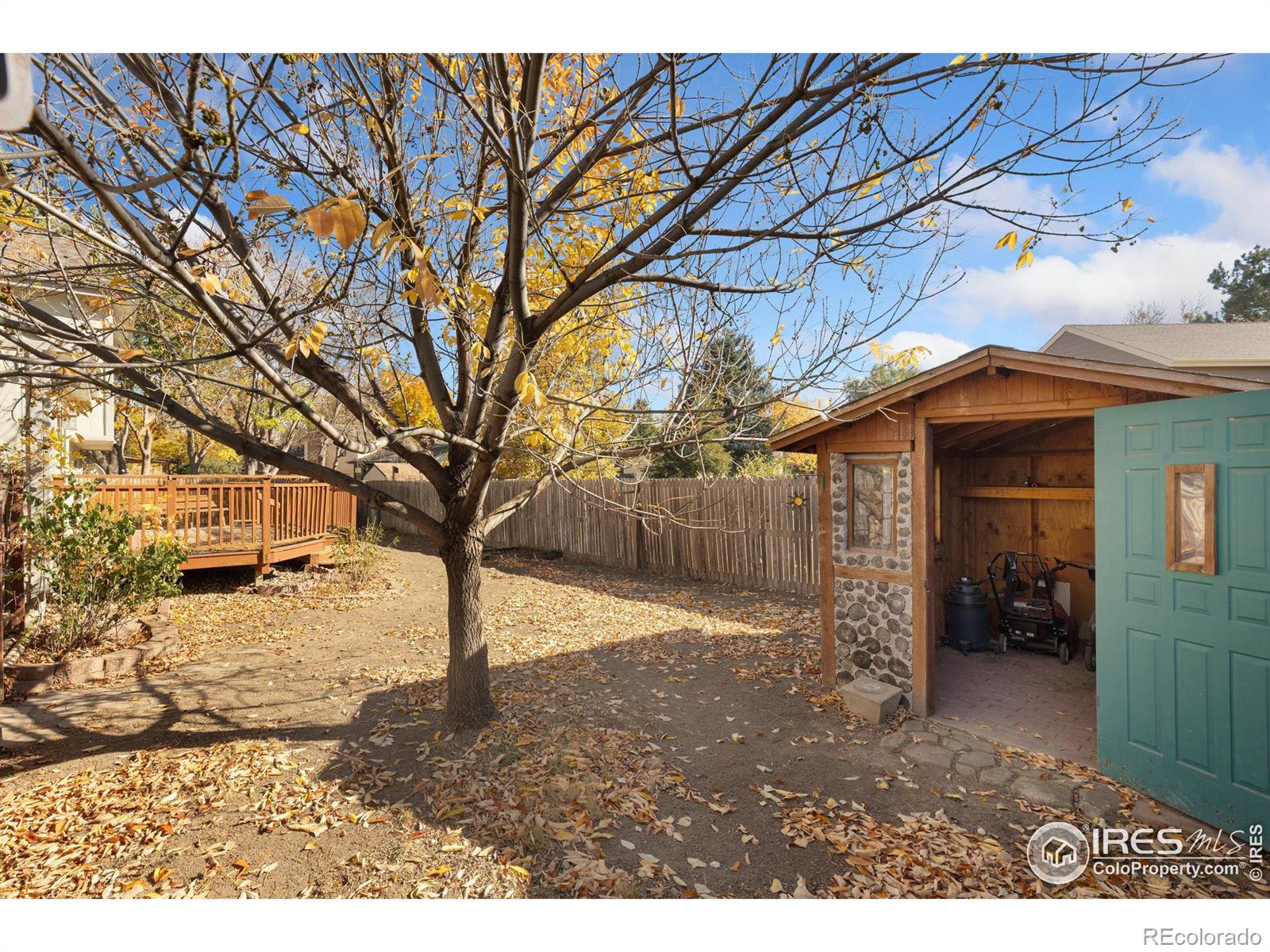 MLS Image #19 for 1613  flemming drive,longmont, Colorado