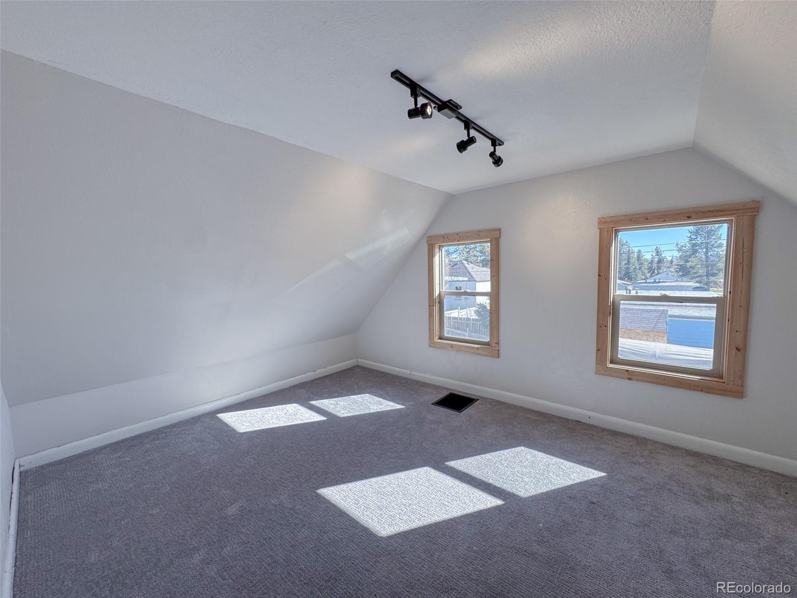 MLS Image #13 for 1605  mt massive drive,leadville, Colorado