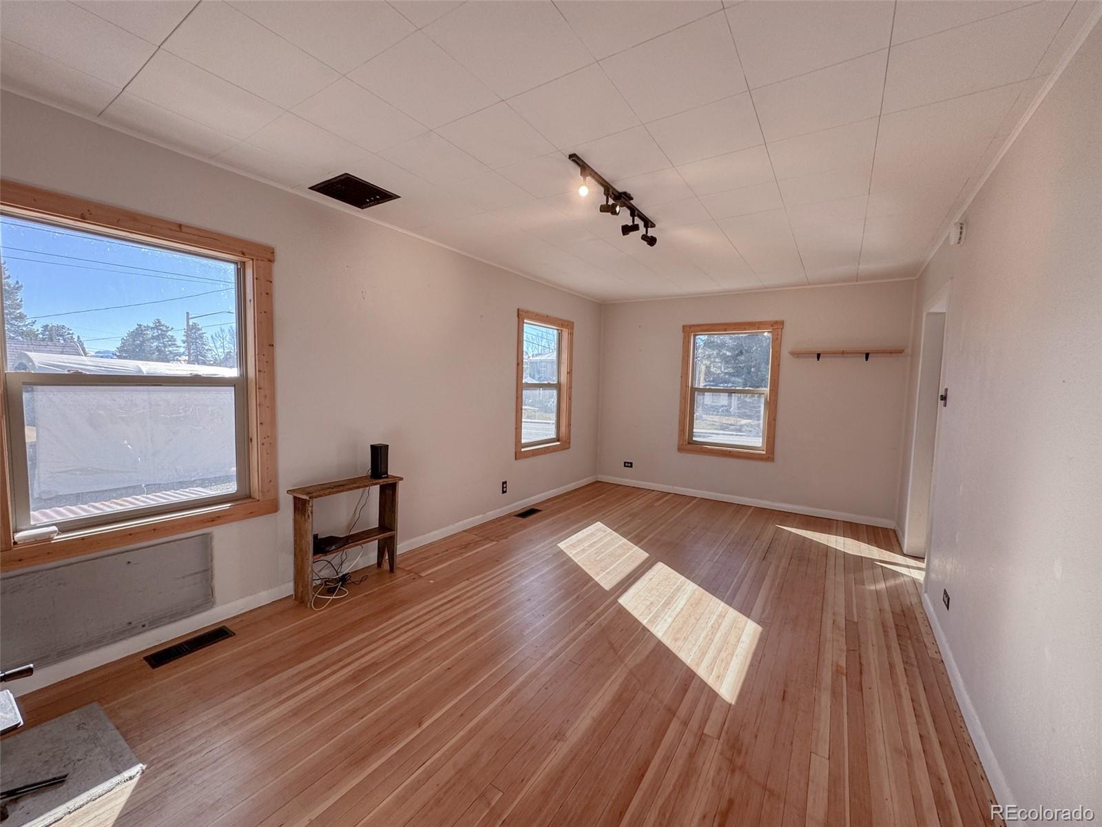 MLS Image #6 for 1605  mt massive drive,leadville, Colorado