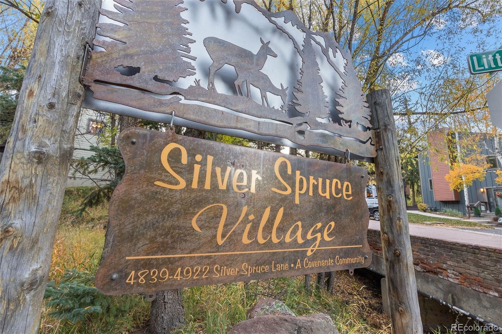 MLS Image #49 for 4885  silver spruce lane,evergreen, Colorado