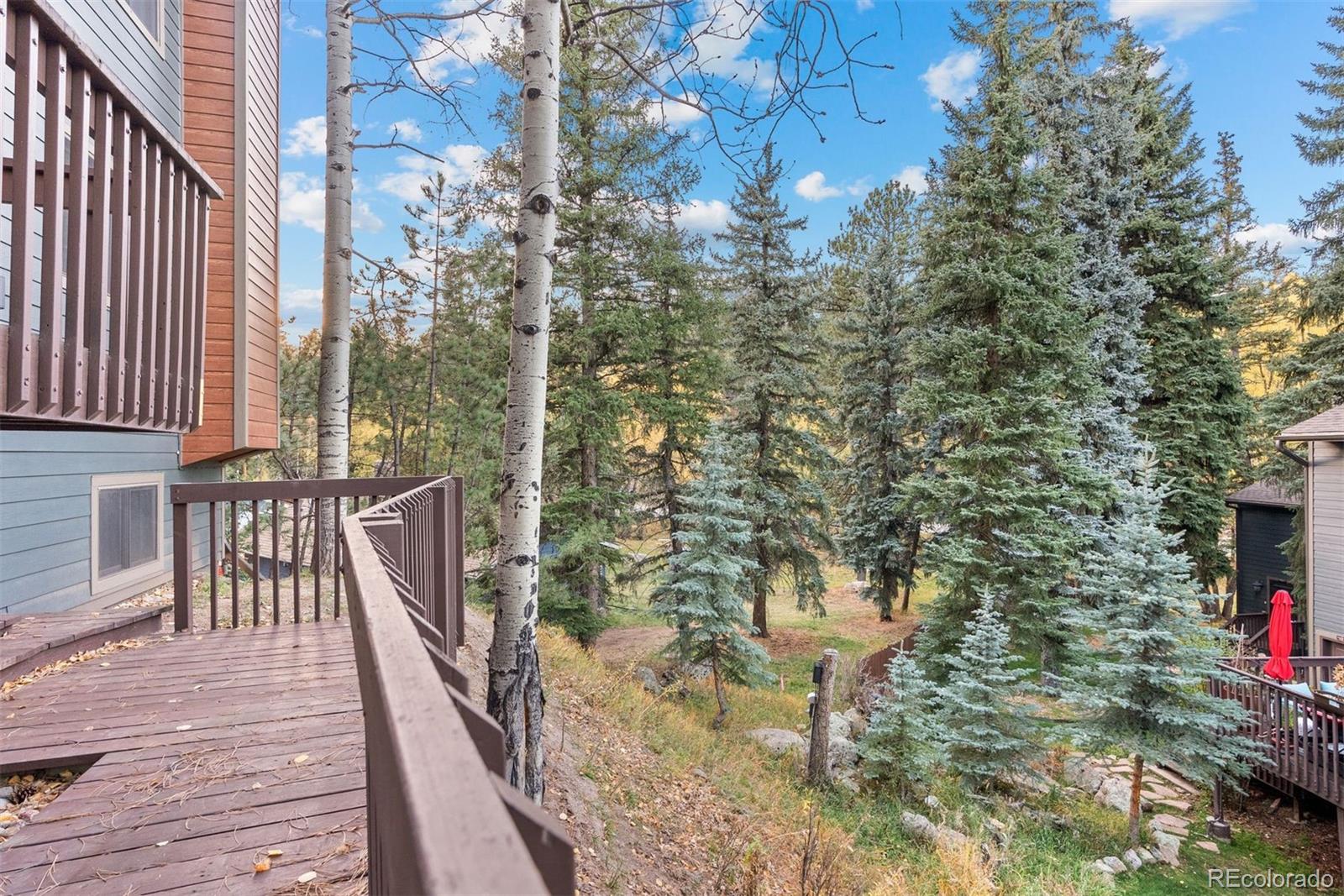 MLS Image #5 for 4885  silver spruce lane,evergreen, Colorado