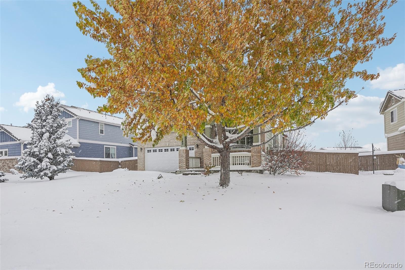 MLS Image #2 for 189  ellendale street,castle rock, Colorado