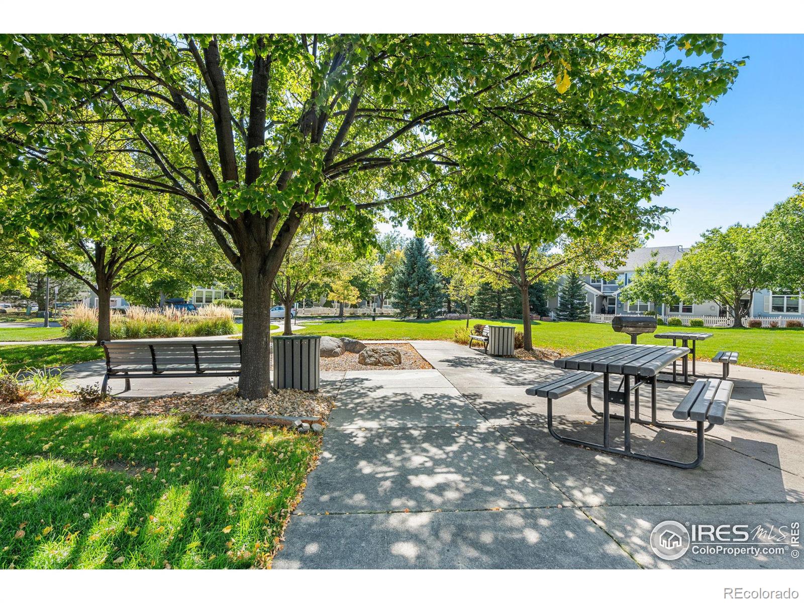 MLS Image #23 for 4033  temple gulch circle,loveland, Colorado