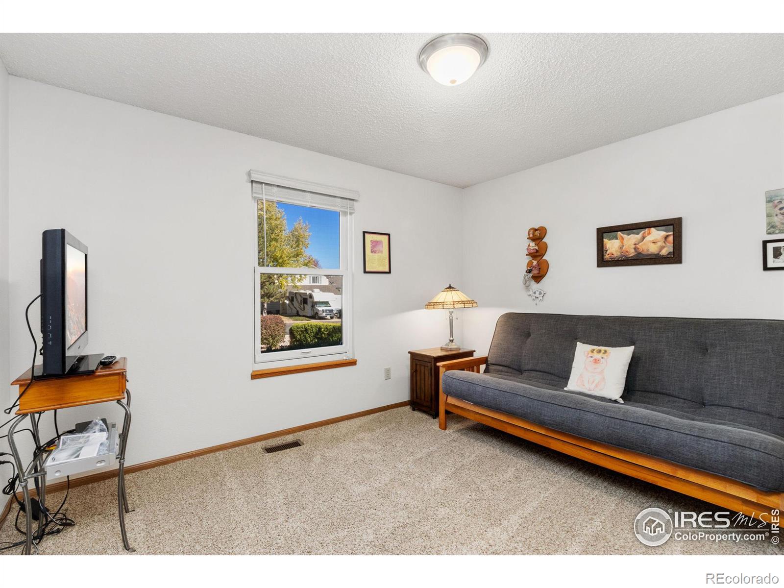 MLS Image #16 for 1716  rolling view drive,loveland, Colorado