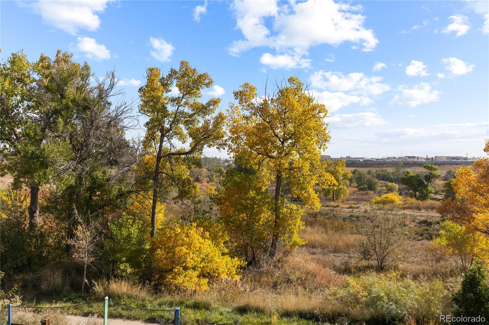 MLS Image #43 for 6642  mariposa street,denver, Colorado