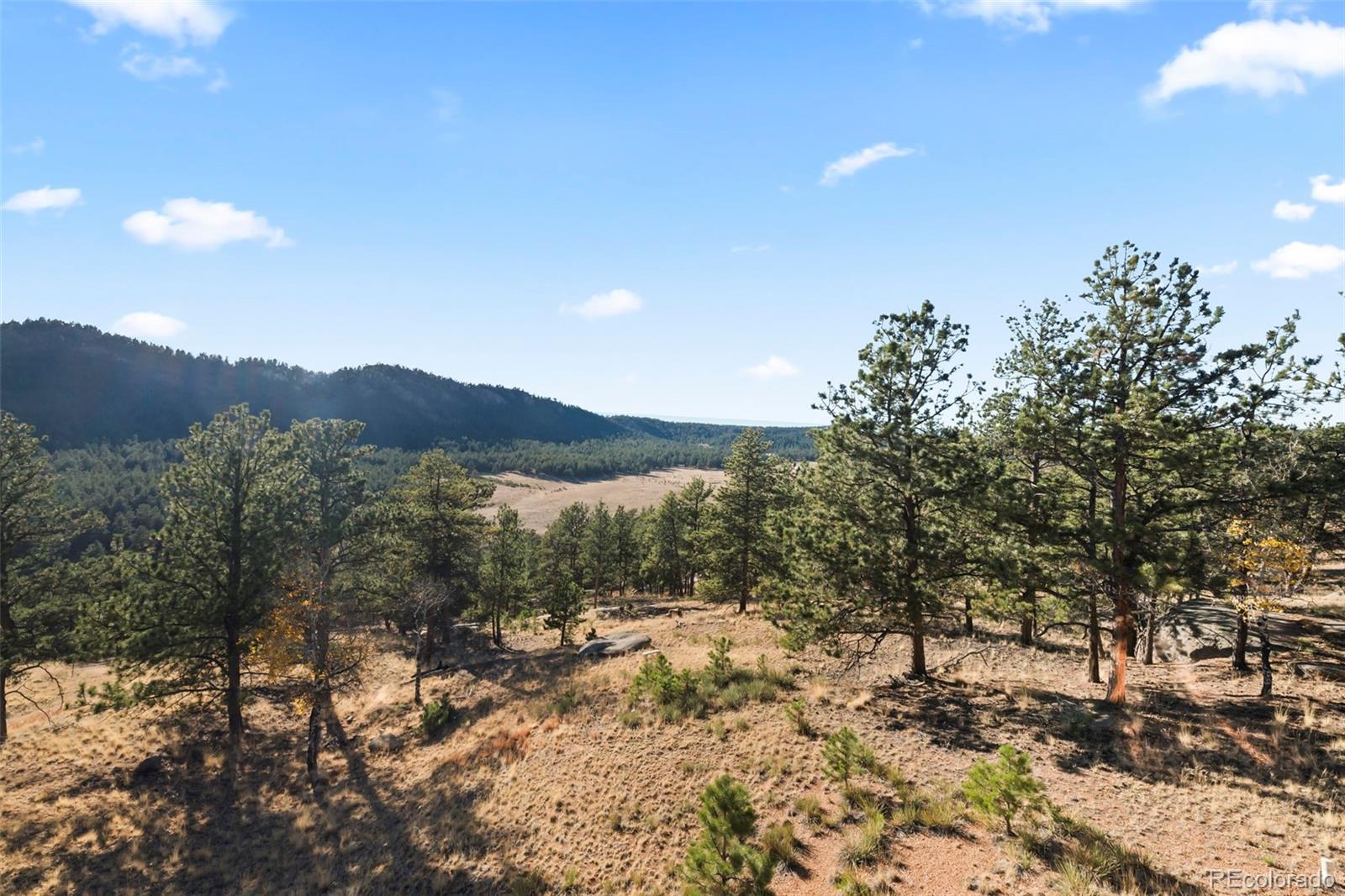 MLS Image #17 for 583 s deer mountain road,florissant, Colorado