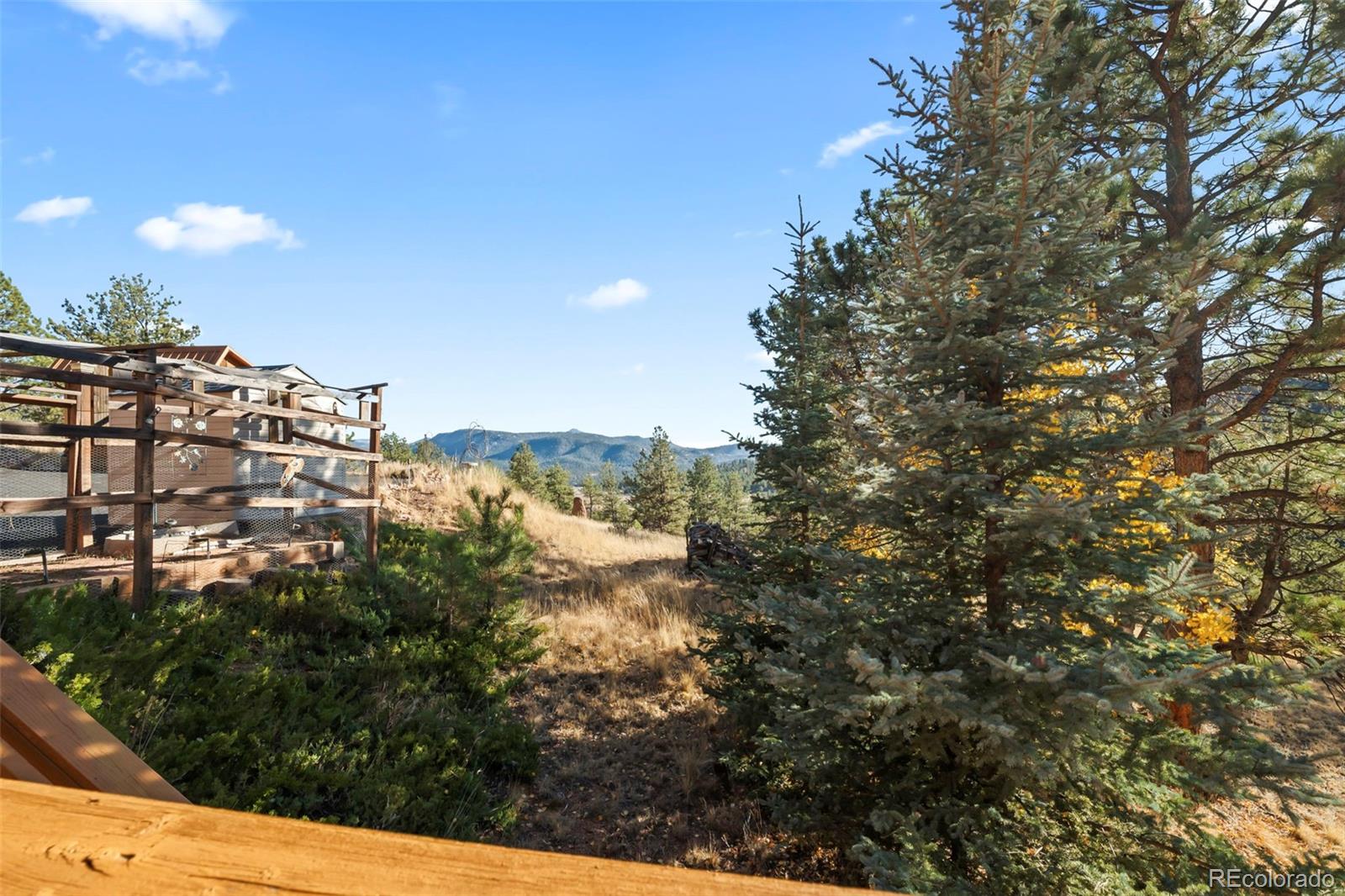 MLS Image #43 for 583 s deer mountain road,florissant, Colorado