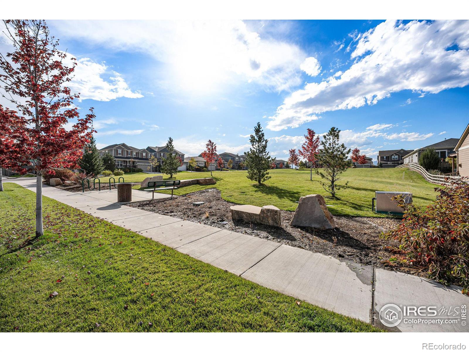 MLS Image #26 for 1072  little grove court,longmont, Colorado