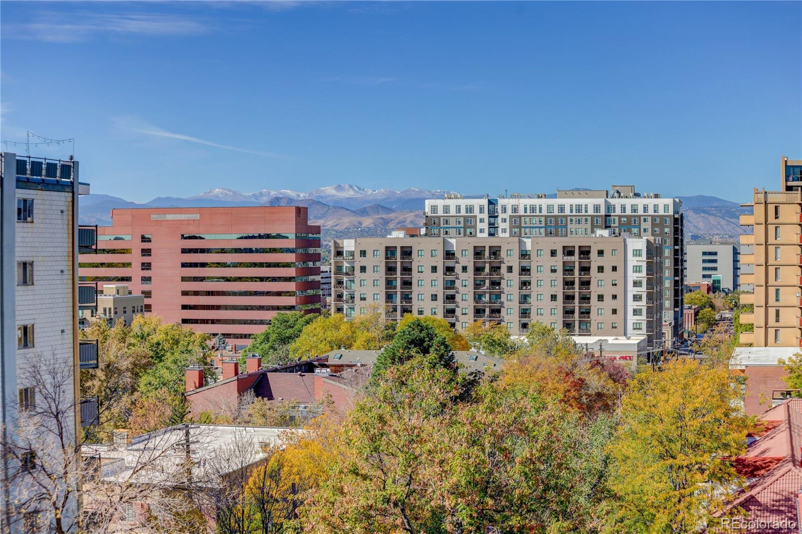 MLS Image #25 for 700 n washington street,denver, Colorado