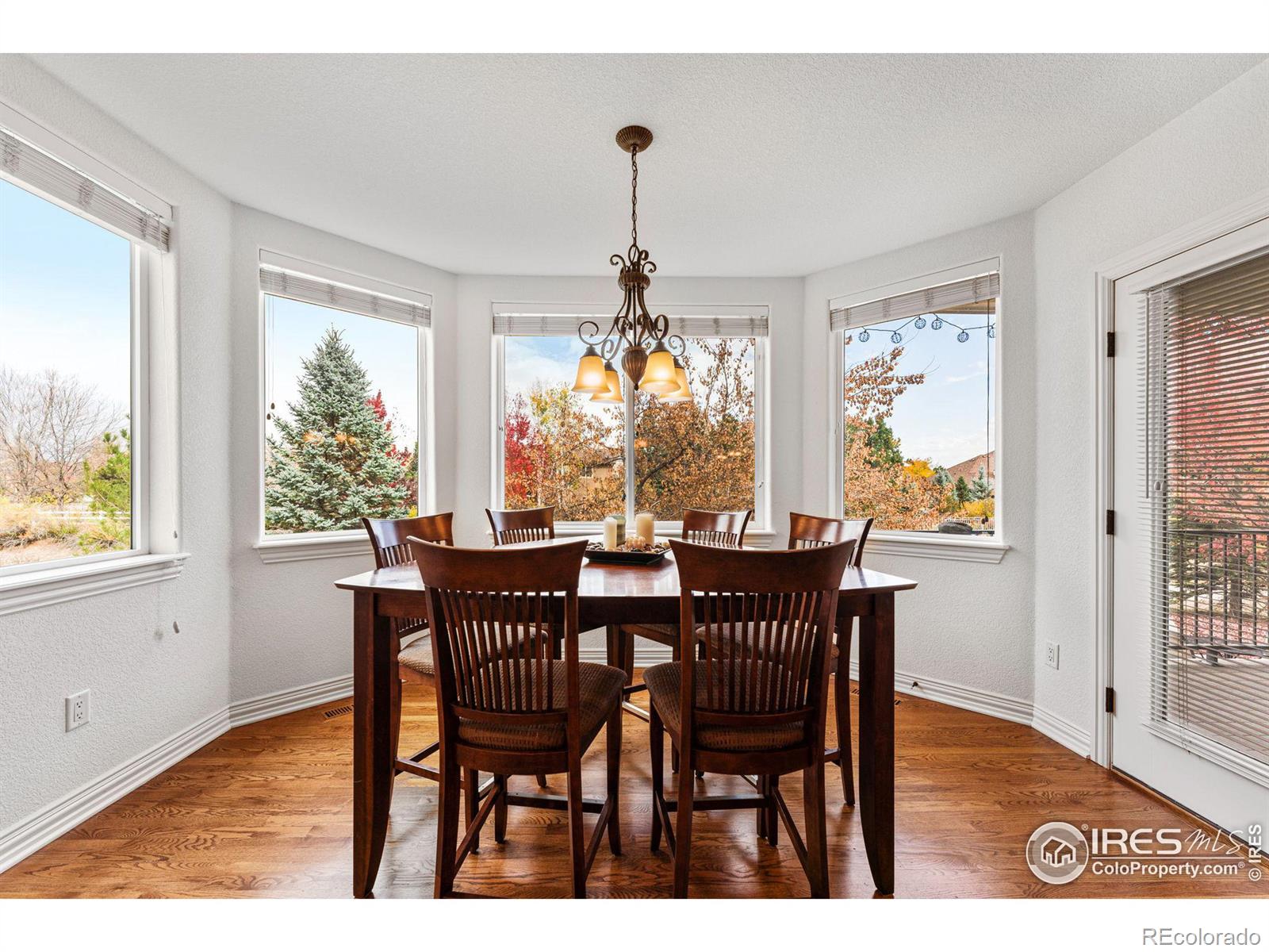 MLS Image #13 for 4212  portofino drive,longmont, Colorado