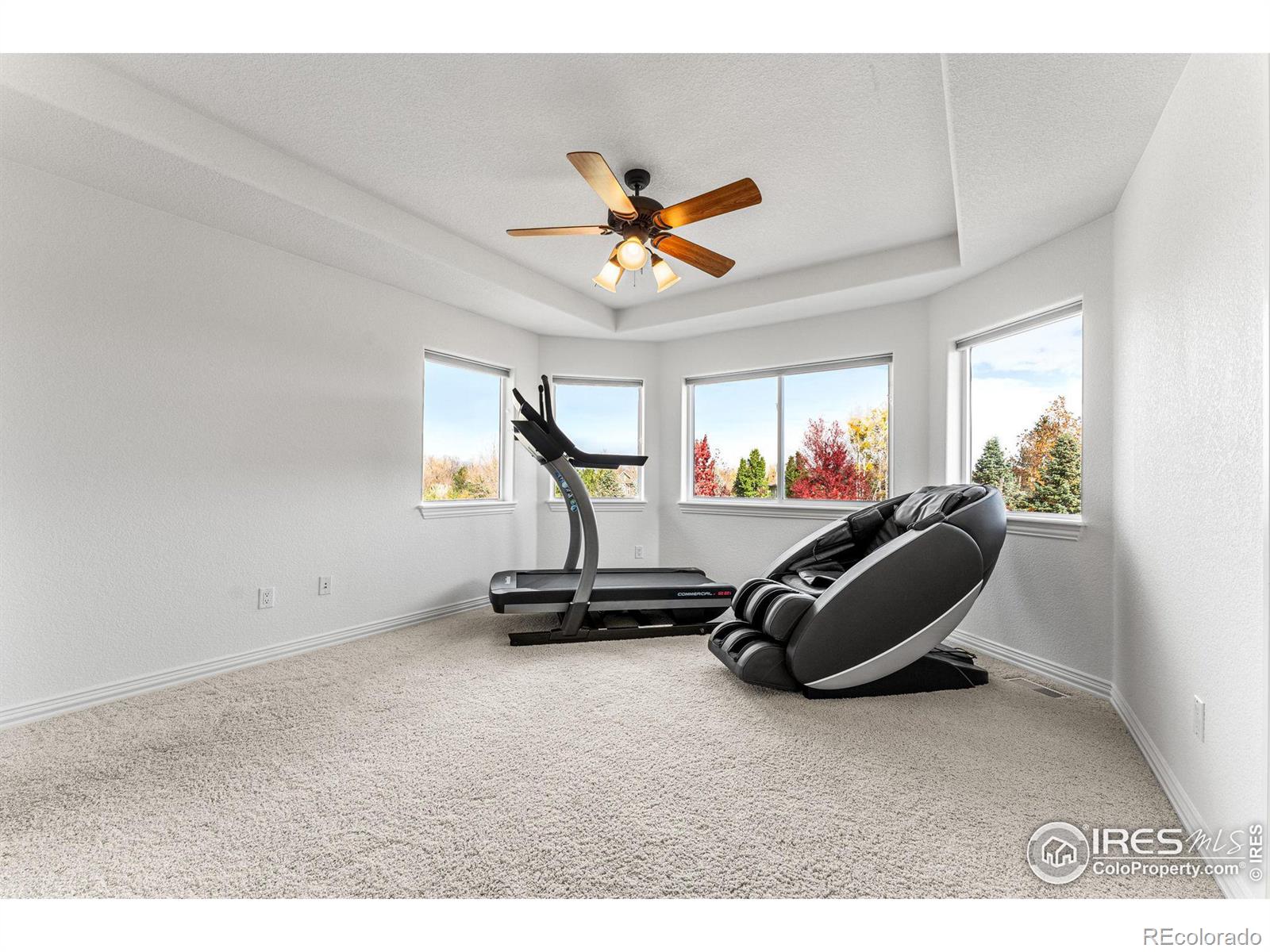 MLS Image #29 for 4212  portofino drive,longmont, Colorado