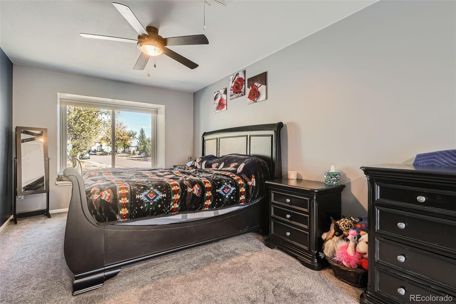 MLS Image #10 for 8645 s field street,littleton, Colorado