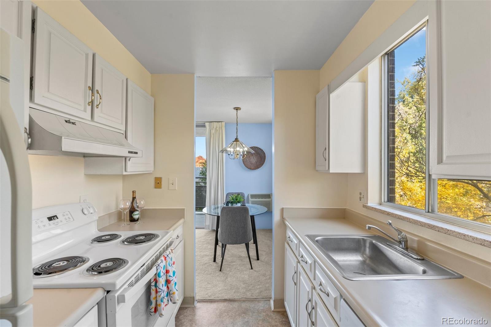 MLS Image #12 for 909 n lafayette street,denver, Colorado