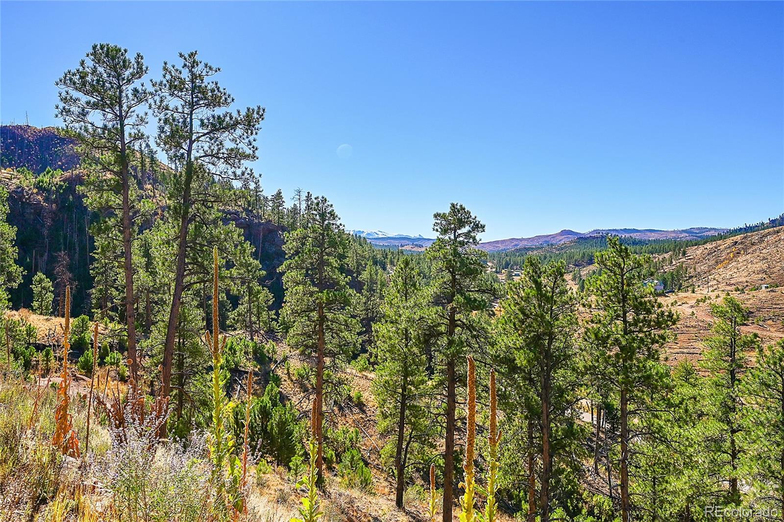 MLS Image #37 for 13792 s state highway 67 ,woodland park, Colorado