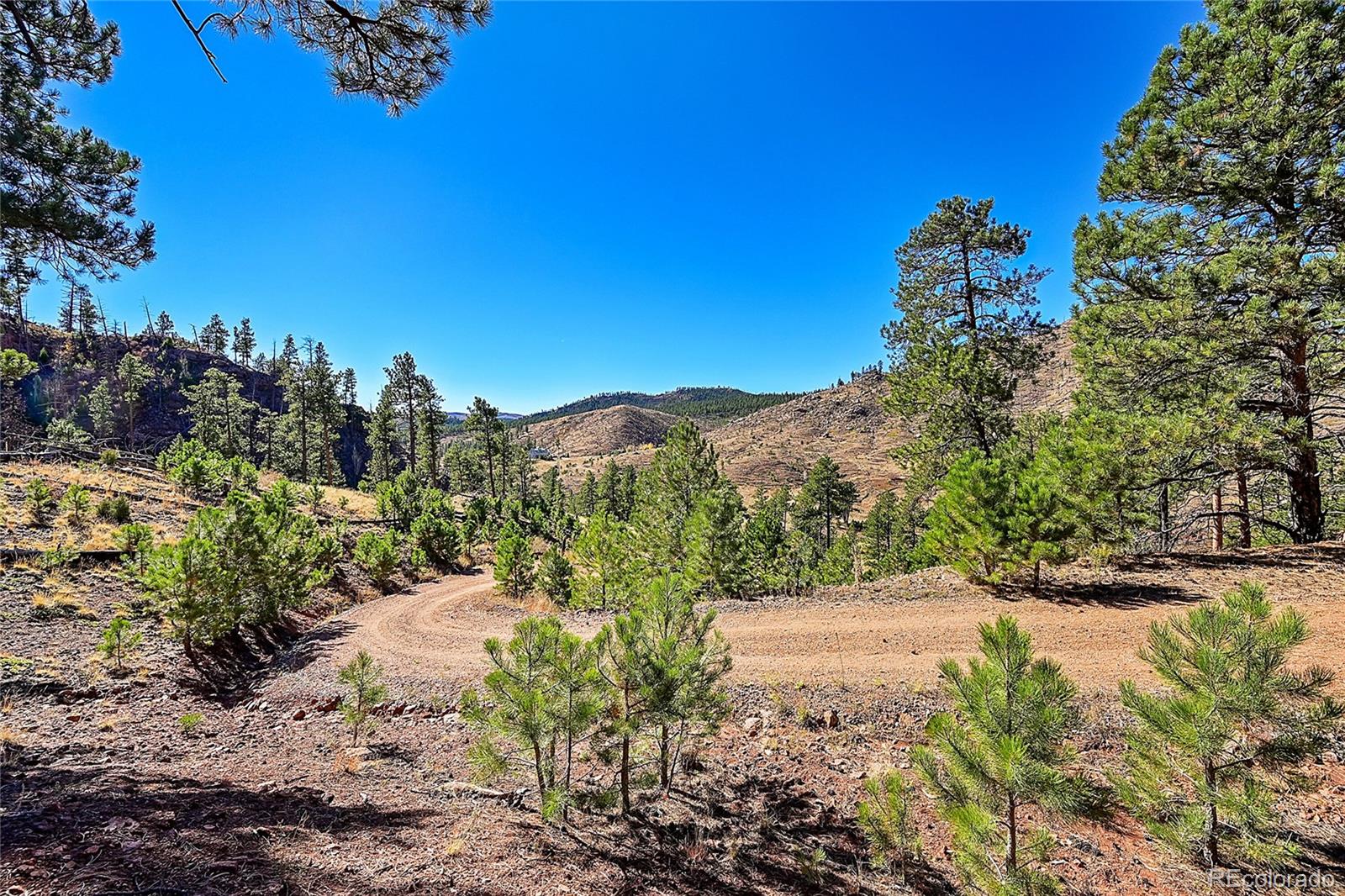 MLS Image #41 for 13792 s state highway 67 ,woodland park, Colorado