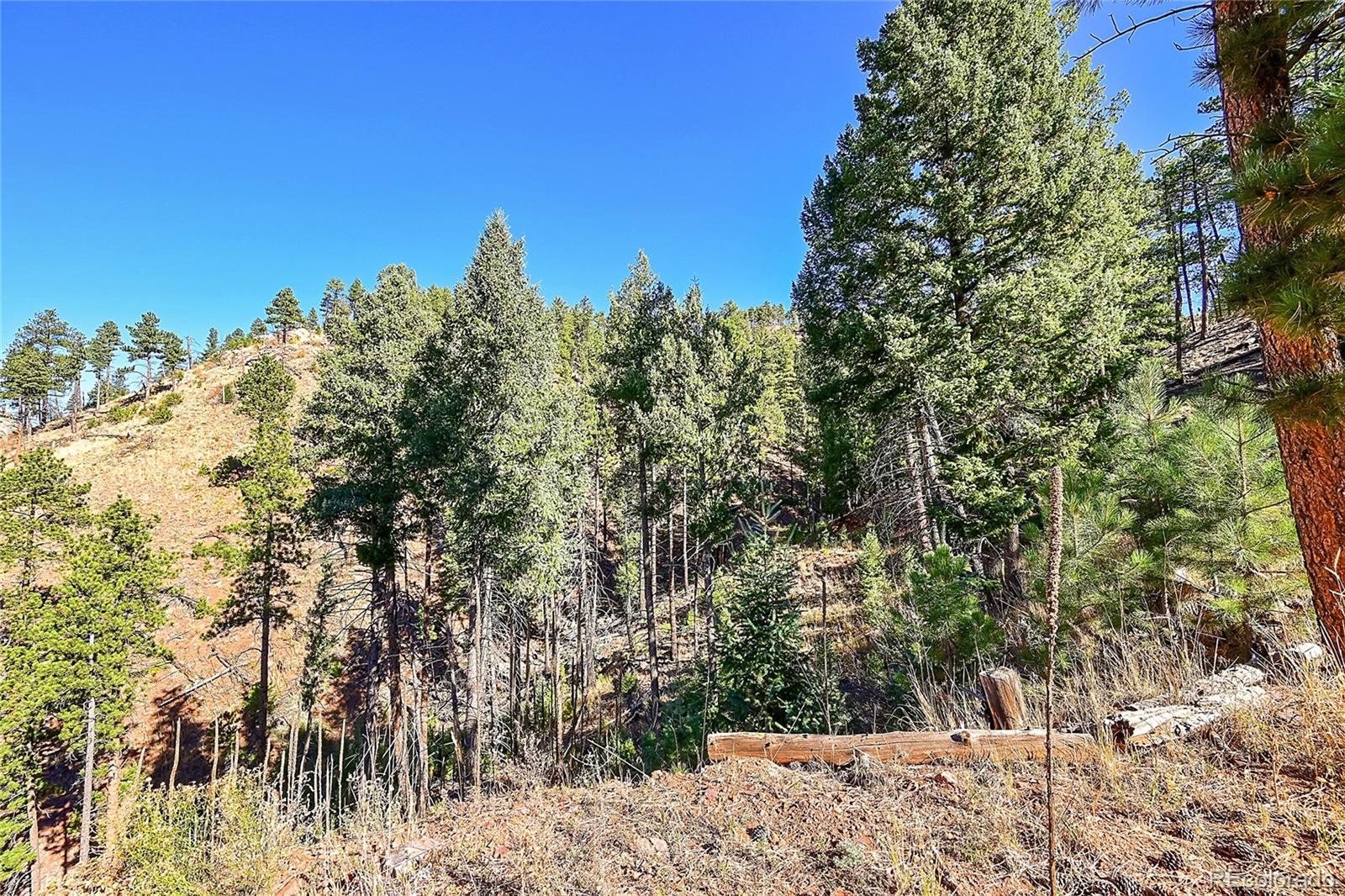 MLS Image #44 for 13792 s state highway 67 ,woodland park, Colorado