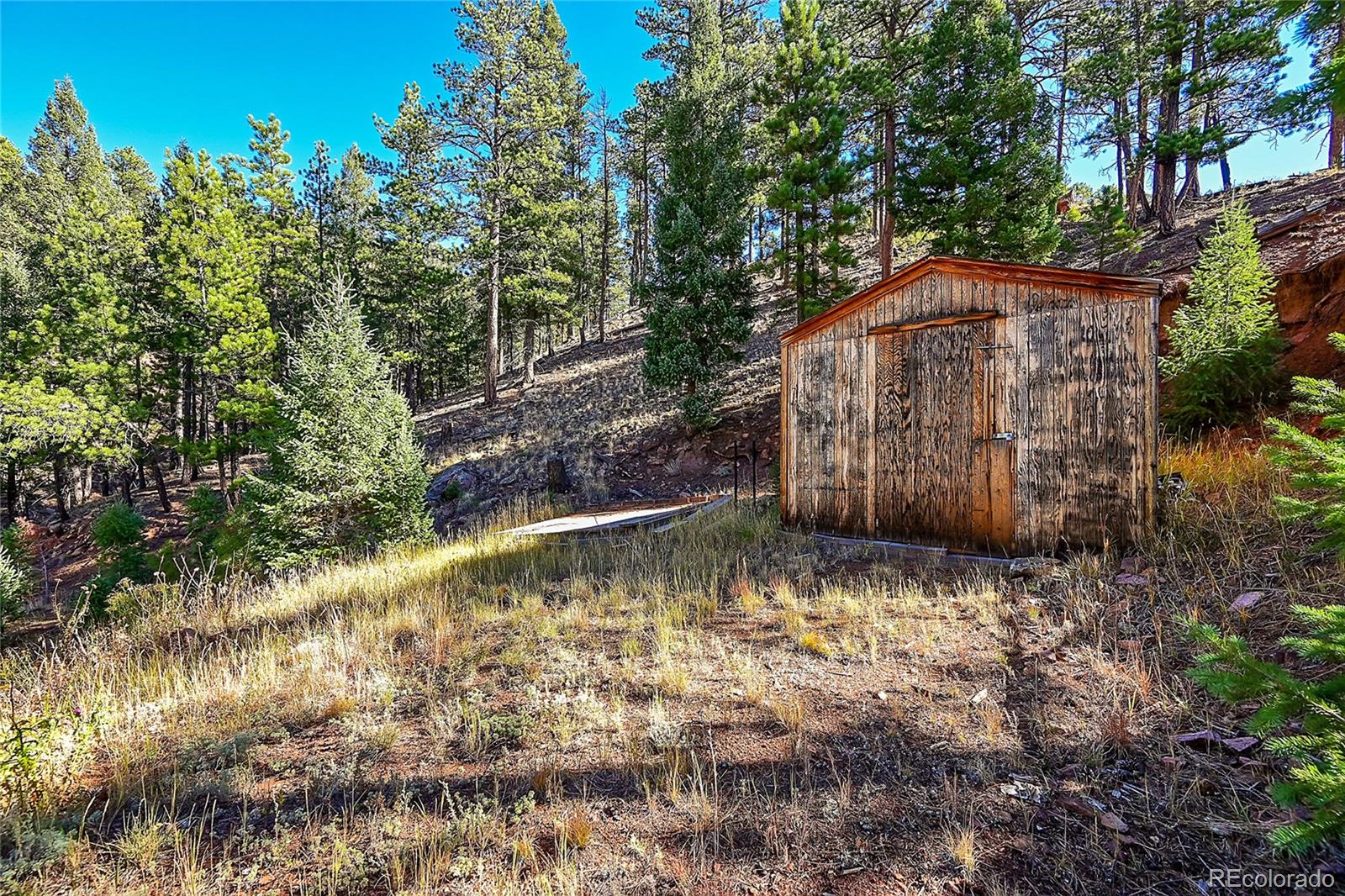 MLS Image #46 for 13792 s state highway 67 ,woodland park, Colorado