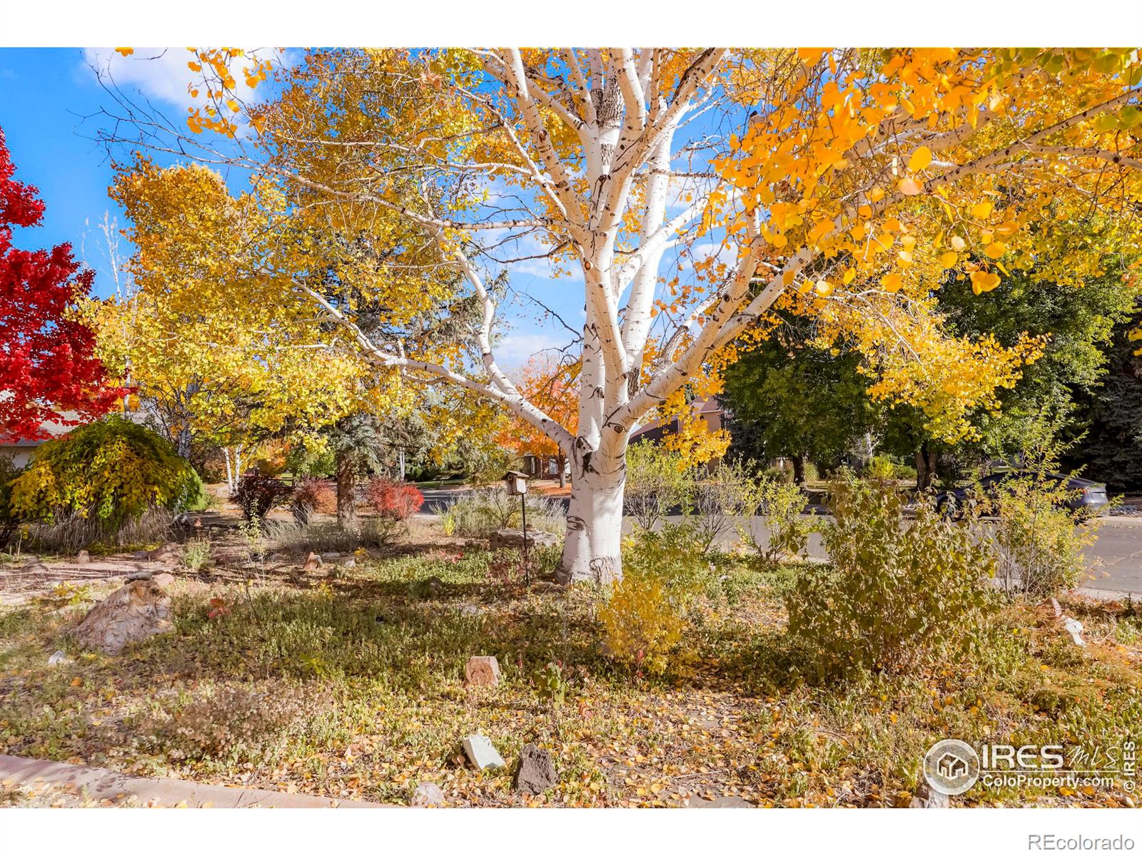 CMA Image for 2535  55th avenue,Greeley, Colorado