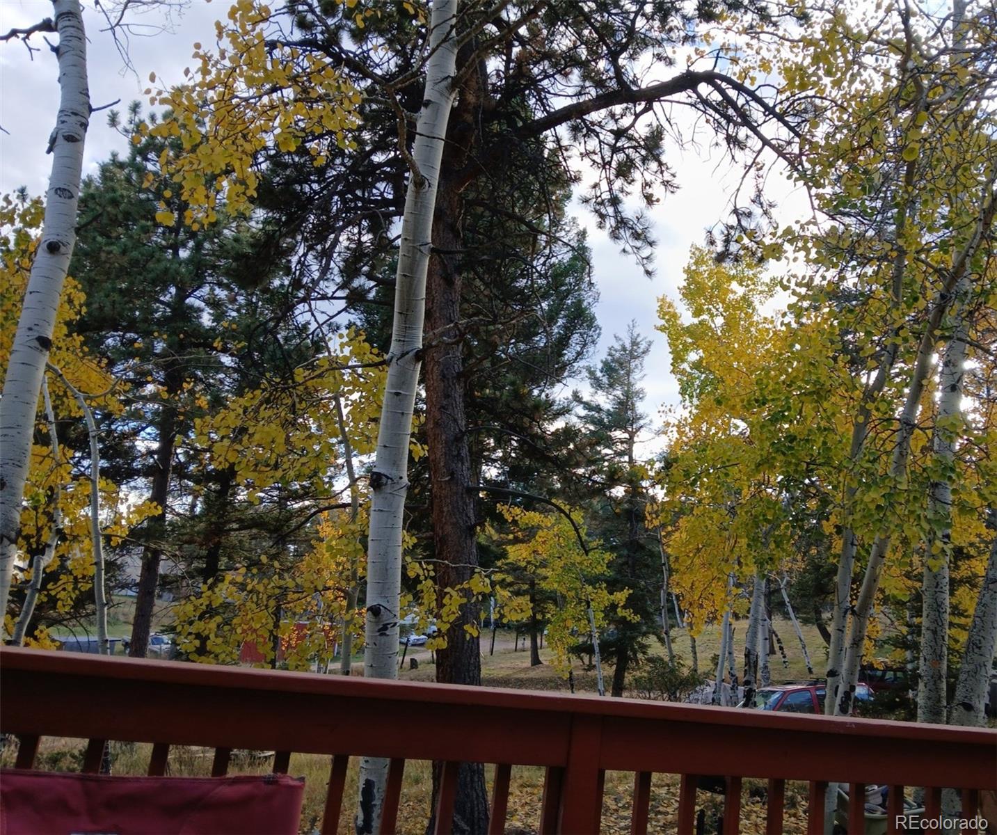 MLS Image #3 for 11953  us highway 285 ,conifer, Colorado