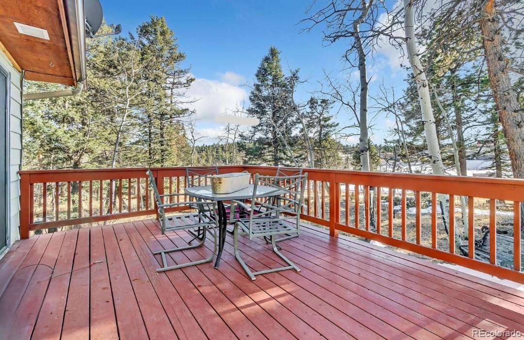 MLS Image #7 for 11953  us highway 285 ,conifer, Colorado