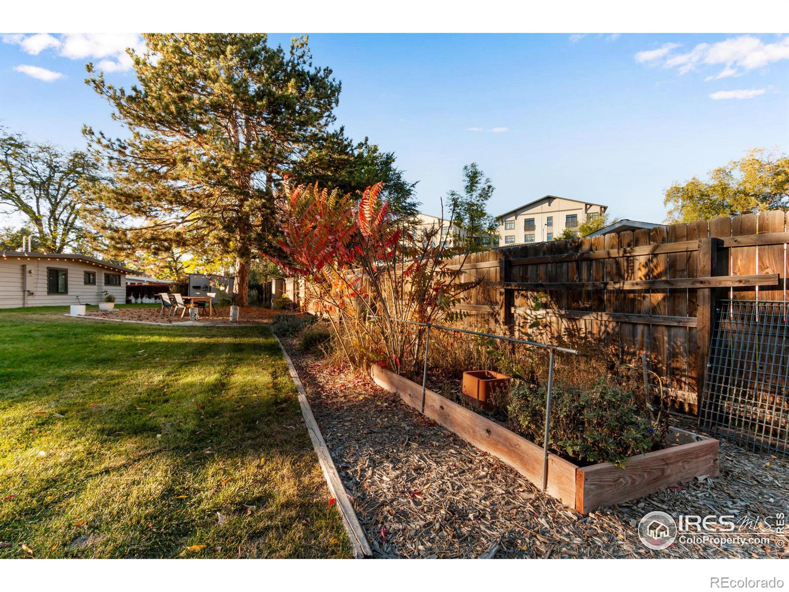 MLS Image #19 for 1604  sheely drive,fort collins, Colorado