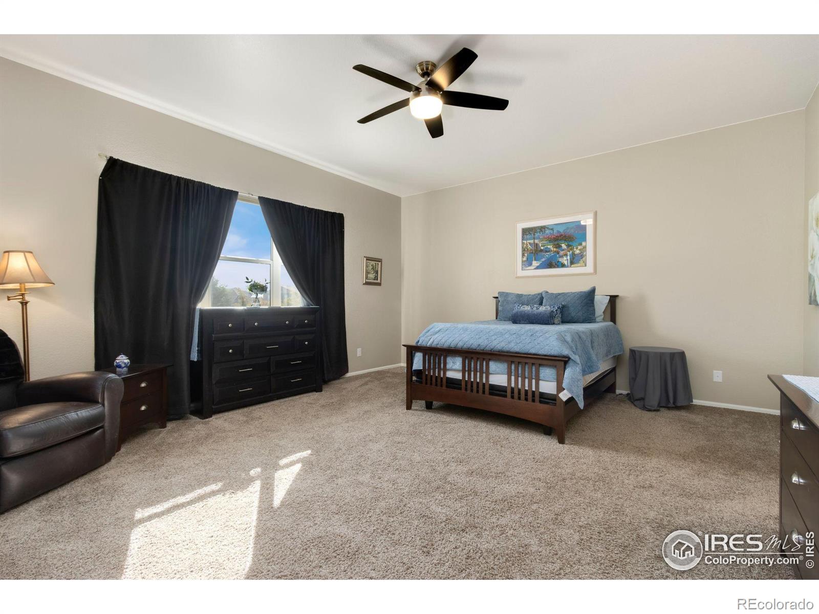 MLS Image #11 for 5985  story road,timnath, Colorado