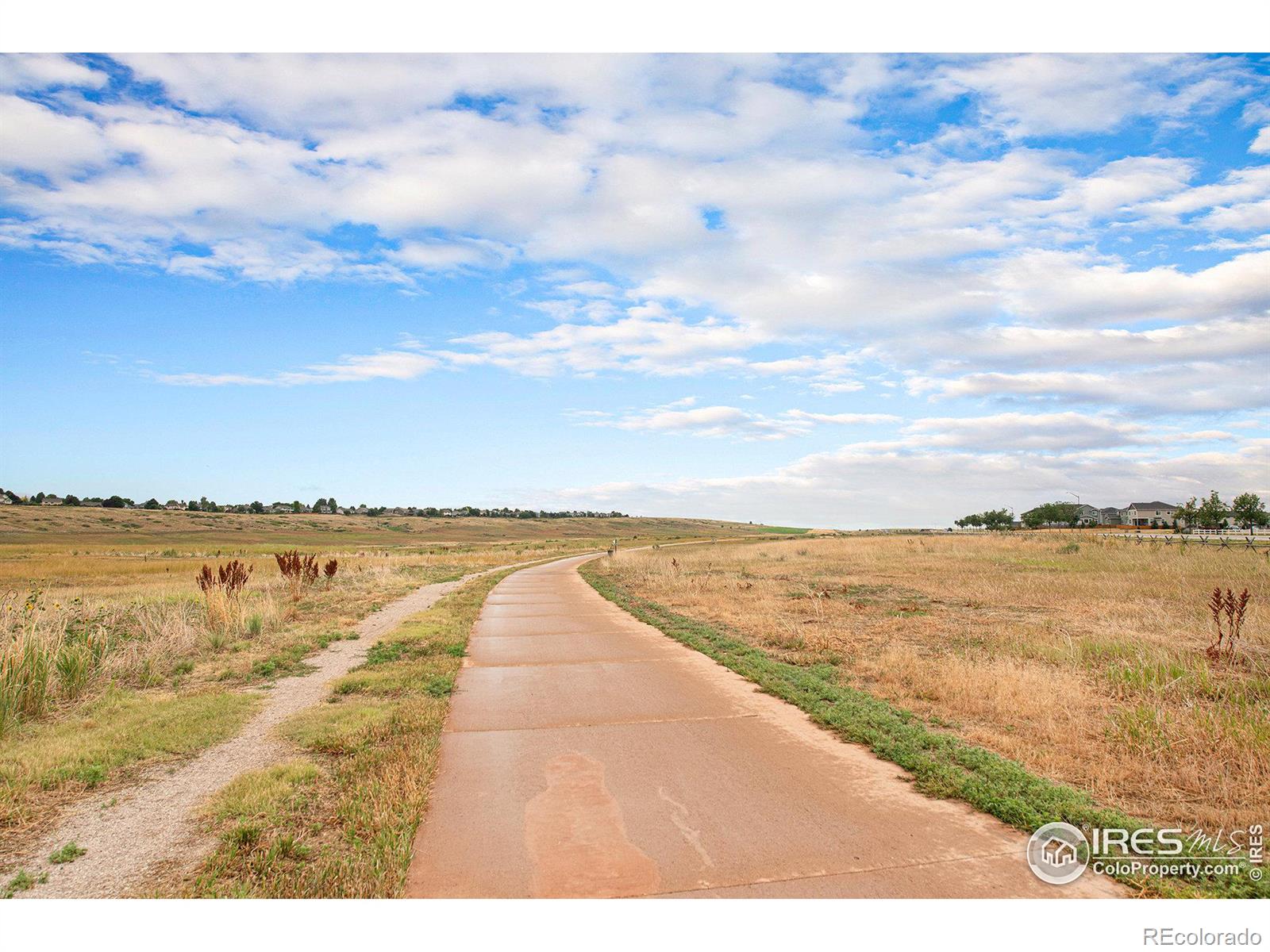 MLS Image #36 for 1508  wasp court,fort collins, Colorado