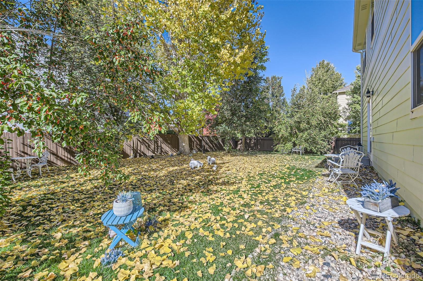 MLS Image #24 for 608  botley drive,windsor, Colorado