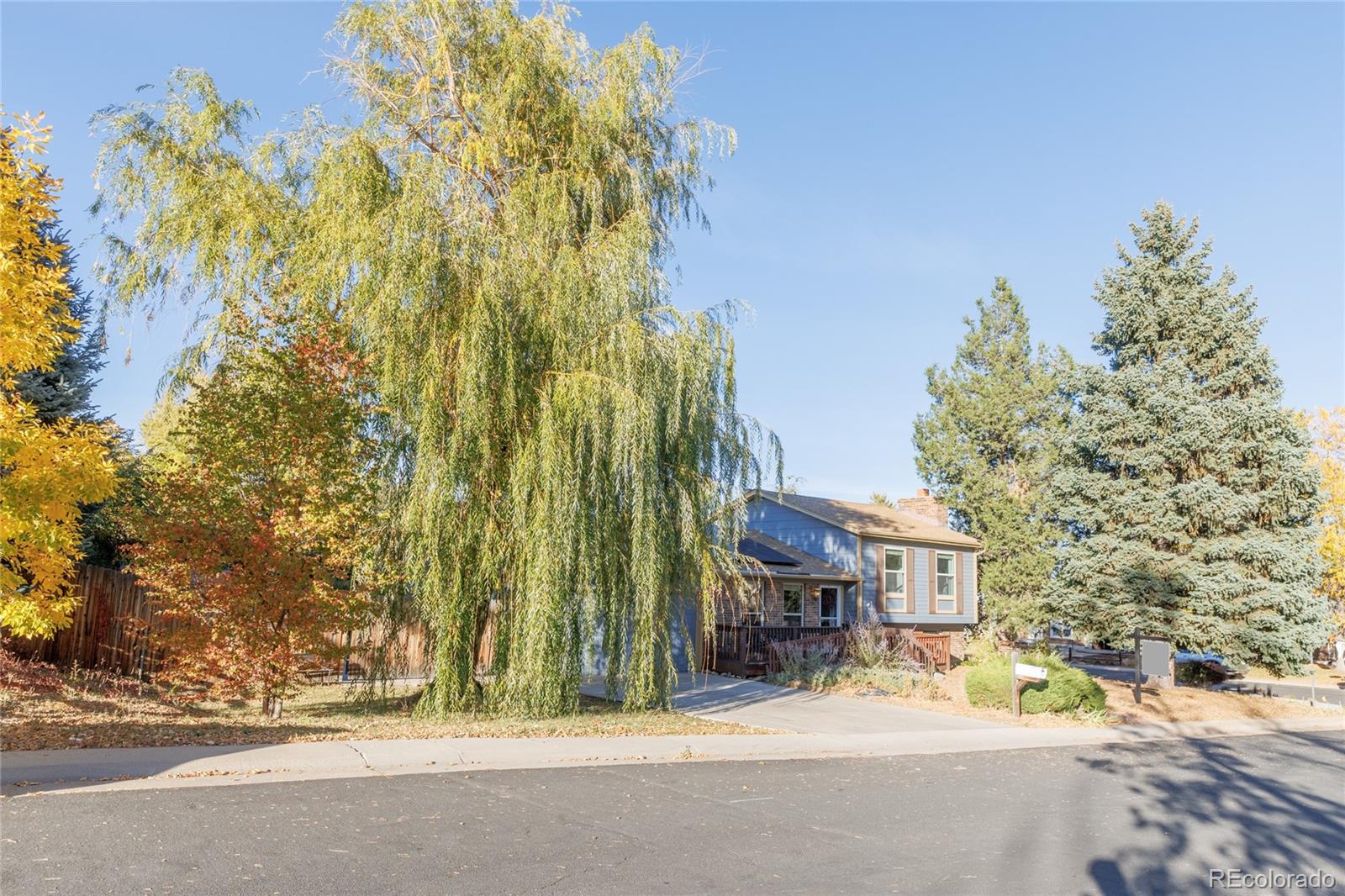 MLS Image #38 for 1609  cedar street,broomfield, Colorado