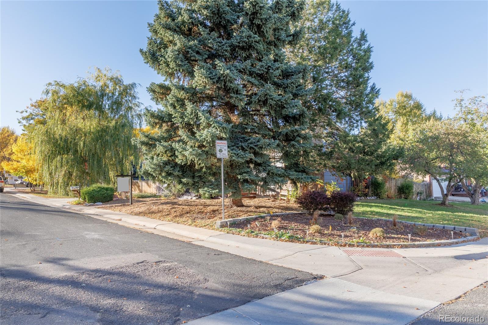 MLS Image #39 for 1609  cedar street,broomfield, Colorado